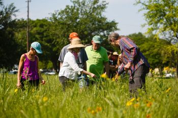 Native Plants & Prairies Day