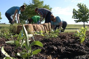 OKC Monarch Waystation