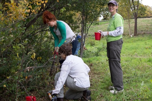 Linda Donnalley waits ready to paint herbicide as other volunteers cut privet trunks at Twelve Hills Nature Center. Photo by North Texas Master Naturalists. 