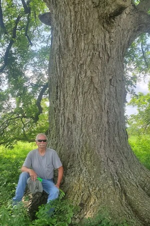 Marion Lineberry, president of the Texas Historic Tree Coalition, sits in the shade of the 250-year-old Fort Parker Pecan in Groesbeck. Photo courtesy of Texas Historic Tree Coalition.
