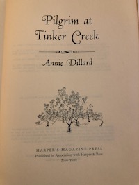 Pilgrim at Tinker Creek