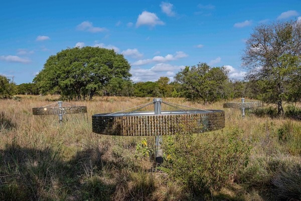 An art installation by Anne Wallace called the "Golden Age" is meant to mimic the flickering light of fire on the prairie. Photo courtesy of the Phil Hardberger Park Conservancy.