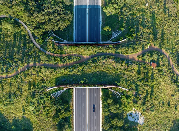 The Robert L.B. Tobin Land Bridge connects the East and West sides of the park. Photo by Justin Moore Airborne Aerial Photography.