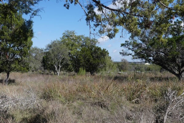 Volunteers planted nearly 40,000 plugs of native grass to restore the savannah behind the Urban Ecology Center. Photo by Michael Smith.