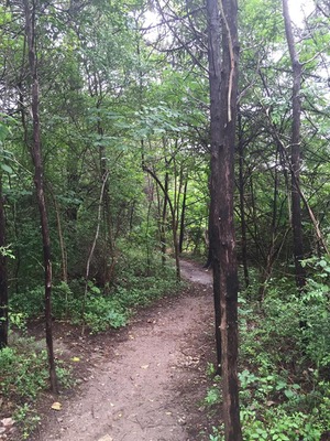 Oak Cliff Nature Preserve