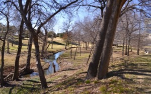 O'Donnell Grove