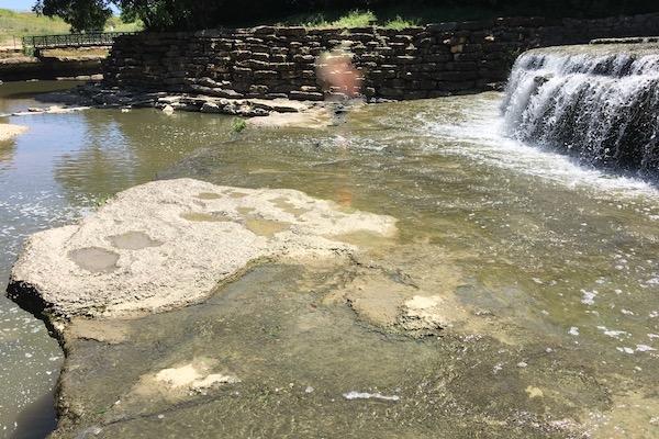 Airfield Falls Conservation Park in Fort Worth