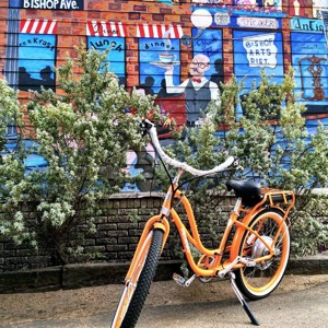 Small Planet Bikes