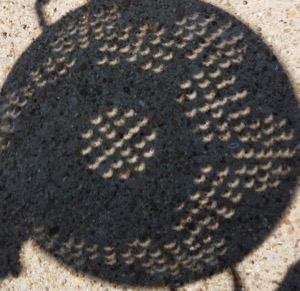 Solar eclipse colander viewer