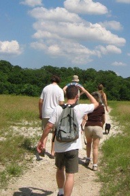 Spring Creek Forest Preserve