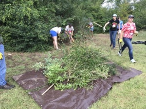 Tandy Hills brush bash