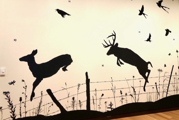 Wildlife of the Blackland Prairie is shown fleeing for their lives from development. Photo by Amy Martin.