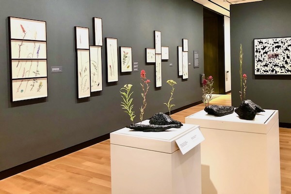 Trespassers incudes watercolor, line drawings, and sculptures. Photo by Amy Martin.