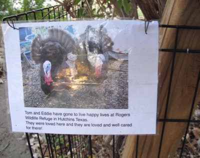 Turkey sign