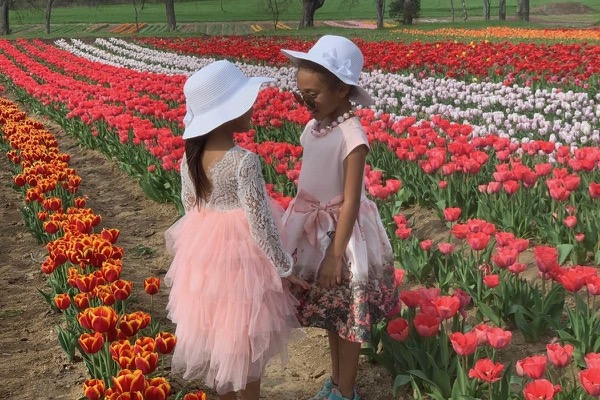 Tulipalooza