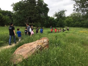 Twelve Hills Nature Center