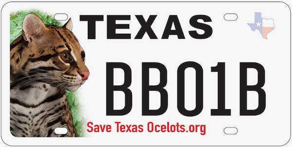 Ocelot Plate