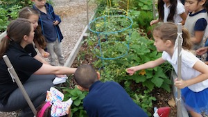 UNTHSC Community Garden