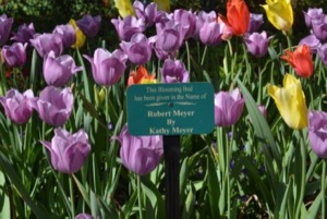 Dallas Arboretum Blooming Beds Gift