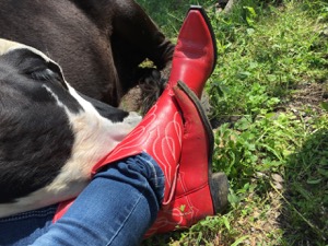 Rowdy Girl Sanctuary owner Renee King-Sonnen