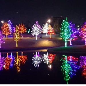Vitruvian Lights