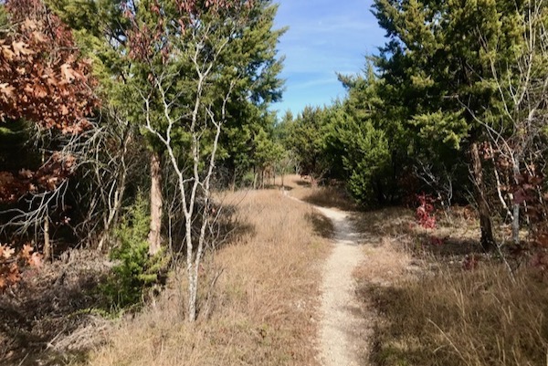 Windmill Hill Preserve Trail Photo by Amy Martin