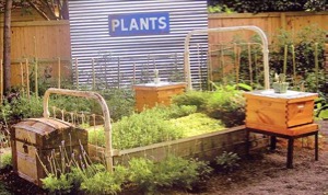 White Rock East Garden Tour & Artisans