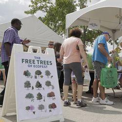 Ecofest