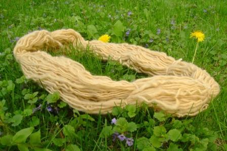 Dandelion Dyes