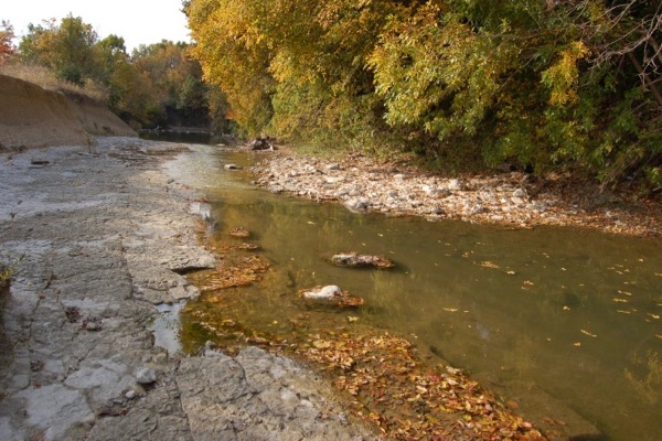 The 200-acre Spring Creek Forest Preserve features ancient trees, fossils and rich plant life.