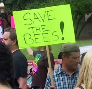Save the Bees