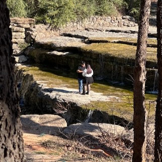 Proposal on Airfield Falls Conservation Park