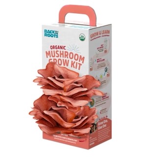 Back to the Roots Organic Mushroom Kit