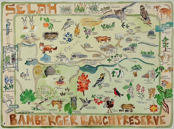 Bamberger Ranch Preserve Illustration