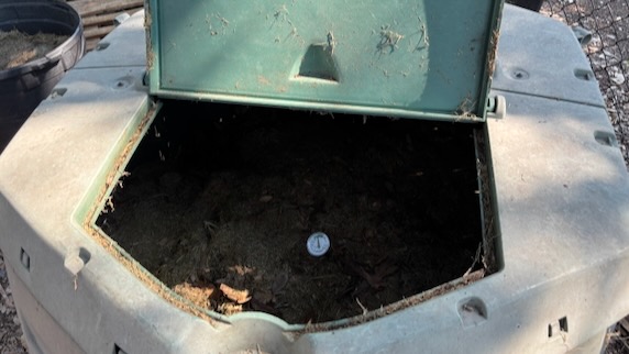 A thermometer measures the heat of the compost.