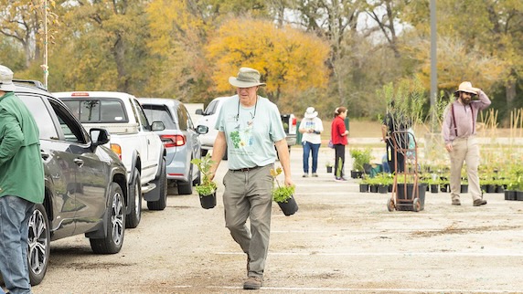 College Station resident takes home a tree at a city tree giveaway event
