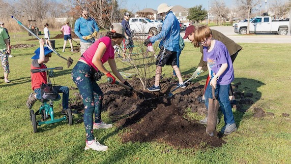 Volunteers help plant trees at a College Station park.
