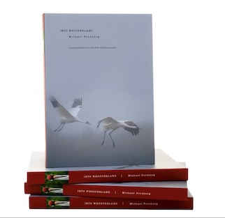 Into Whooperland cover