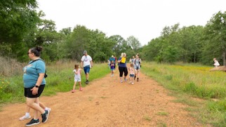 Lick Creek Park hiking trail