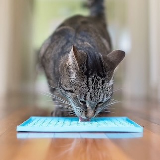 Licki mat for cats