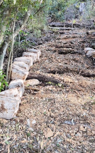 A pathway installed using mushroom blocks for erosion and soil enrichment. 