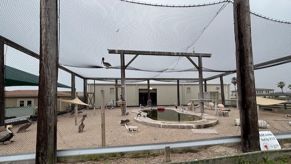 the Amos Rehabilitation Keep