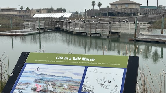 UTMSI Wetlands Education Center