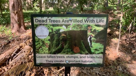 Warren Ferris Cemetery Marker