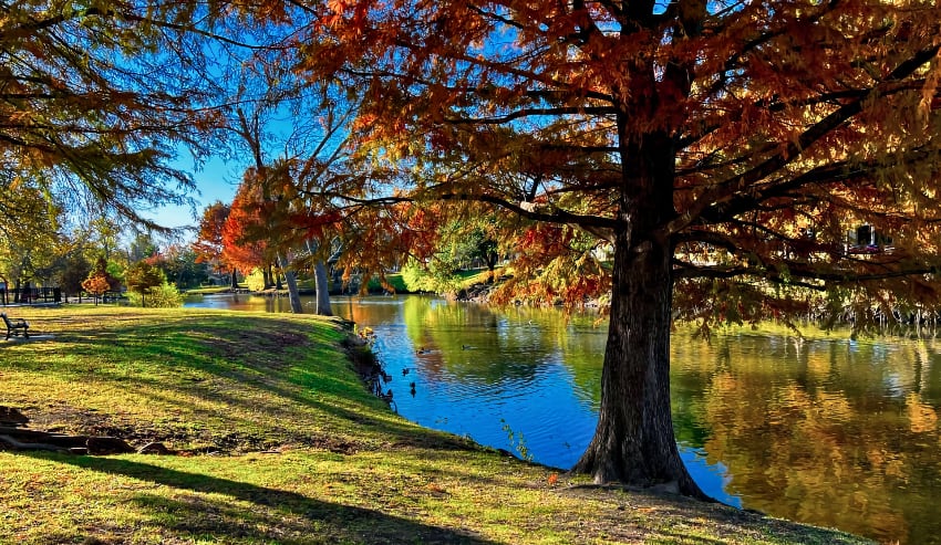 Cottonwood Park in Richardson