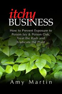 Itchy Business book cover
