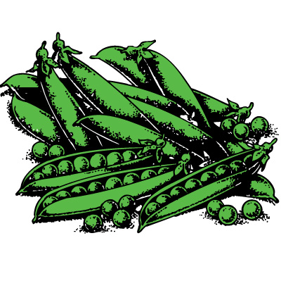 North Texas Farmers Markets