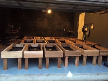 Growing Up Gardens inventory