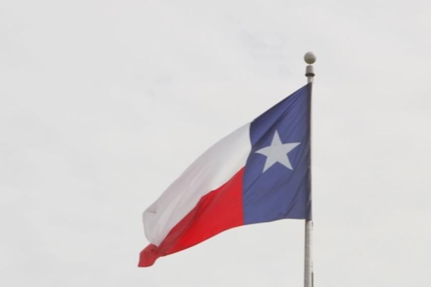 State Flag of Texas