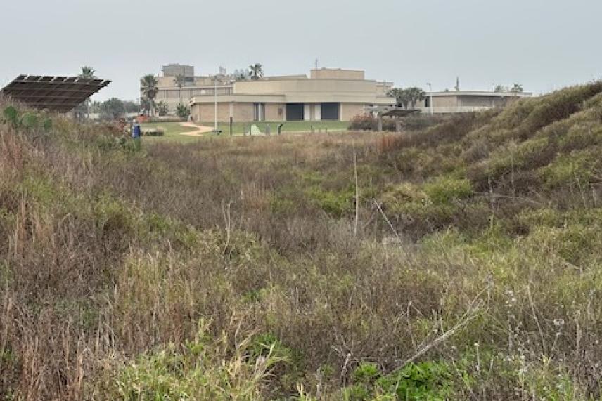 University of Texas Marine Science Institute